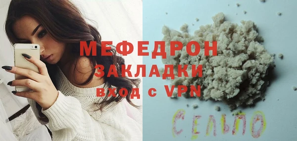 МДПВ Бородино