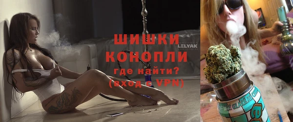МДПВ Бородино