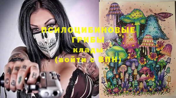МДПВ Бородино