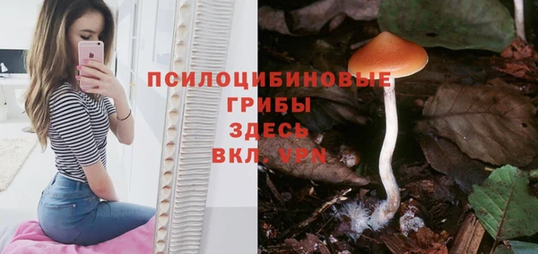 МДПВ Бородино