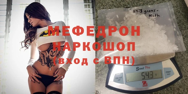 МДПВ Бородино