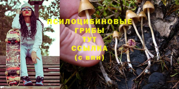 МДПВ Бородино