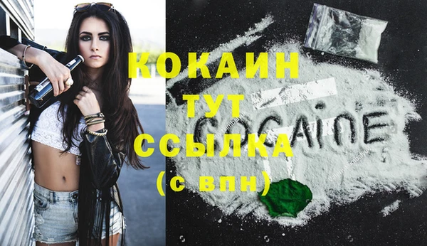 2c-b Богородицк