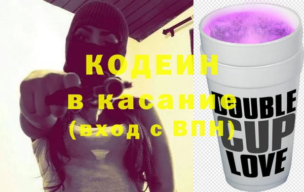 МДПВ Бородино
