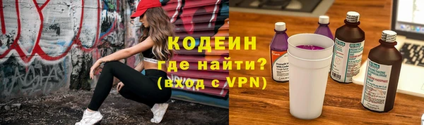 МДПВ Бородино