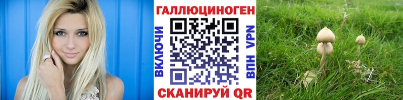Галлюциногенные грибы GOLDEN TEACHER  Купить закладки  Навашино 